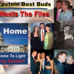 King Trump The Liar & The Epstein Files